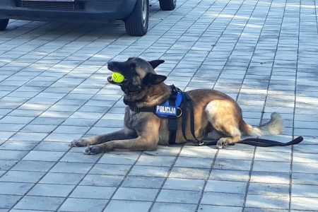 Vrtić posjetili policijski službenici i pas Zen